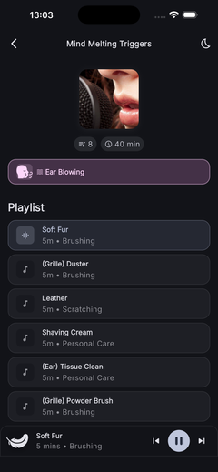 A curated playlist view with editorial selections