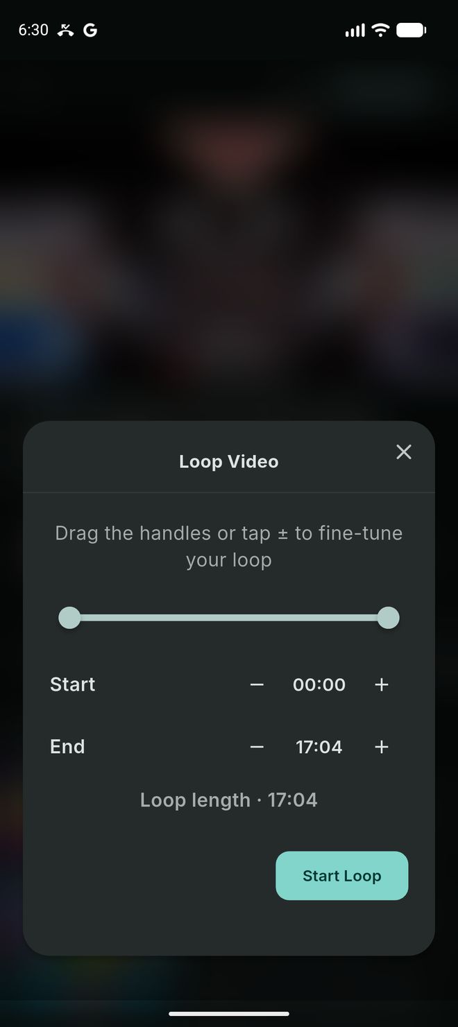 The Loop Video panel with a slider, Start and End times with plus and minus buttons, and a Start Loop button.